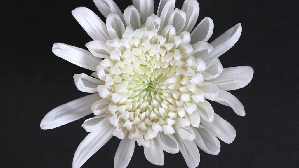 終活で親と話しておくべきことリスト|後悔しないための準備と心構え