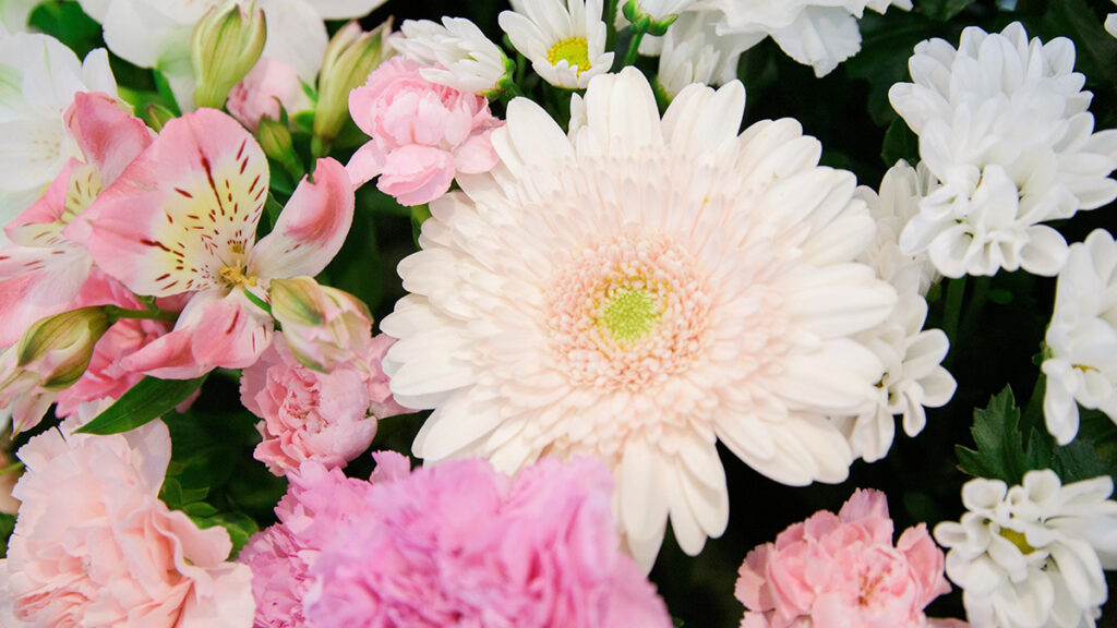 直葬と火葬式の違いとは?同じ意味?それぞれの特徴と選び方を解説