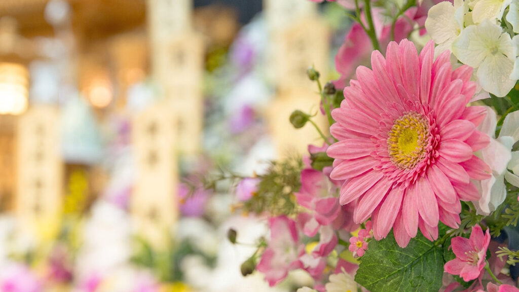 火葬式で香典返しは必要?直葬の香典マナーと辞退する場合の伝え方