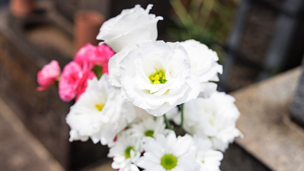 一般葬とは?費用相場・流れ・家族葬との違い|初めての方向けにわかりやすく解説