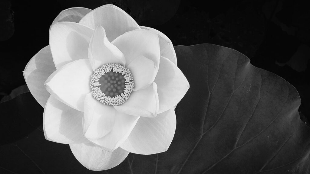 香典の相場｜祖父母・親・友人の金額は？年齢と関係性でわかる早見表