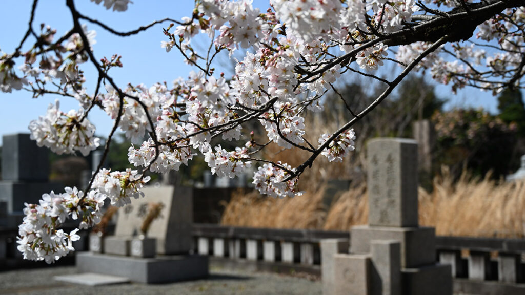 相続手続きの流れ完全ガイド｜いつから始める？期限や弁護士に頼むべきケース