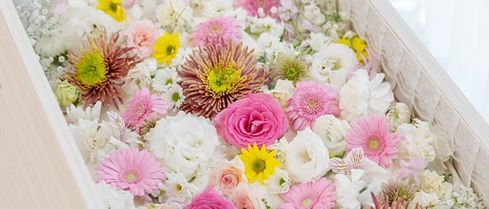 お花増量プラン